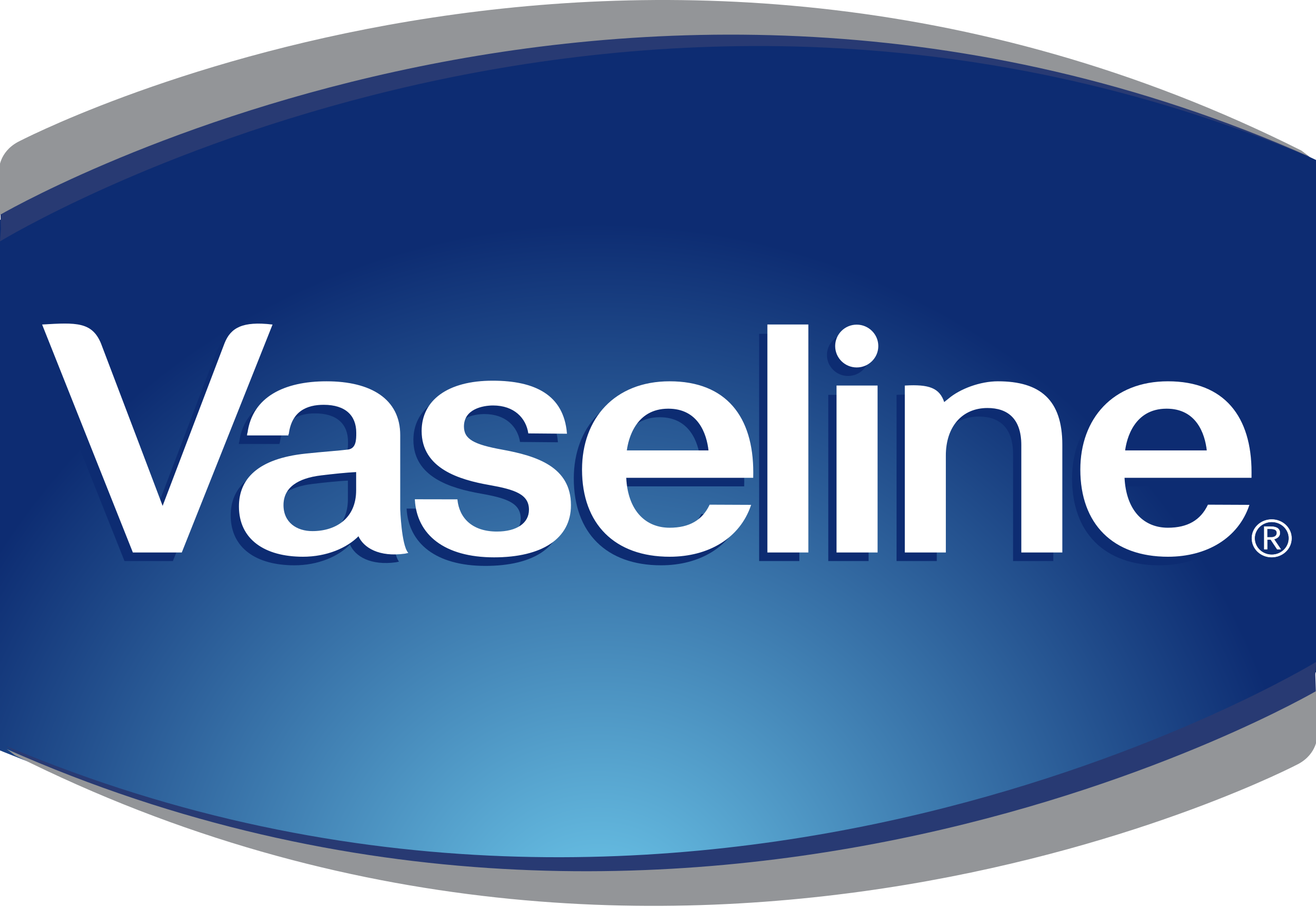Vaseline Logo.svg 1